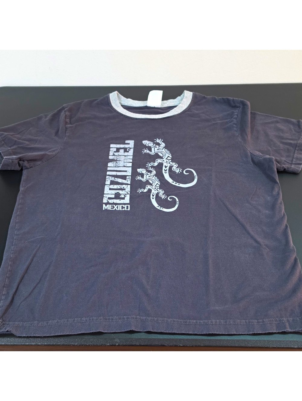 Vintage Mexico Cozumel Graphic T-Shirt with Lizards